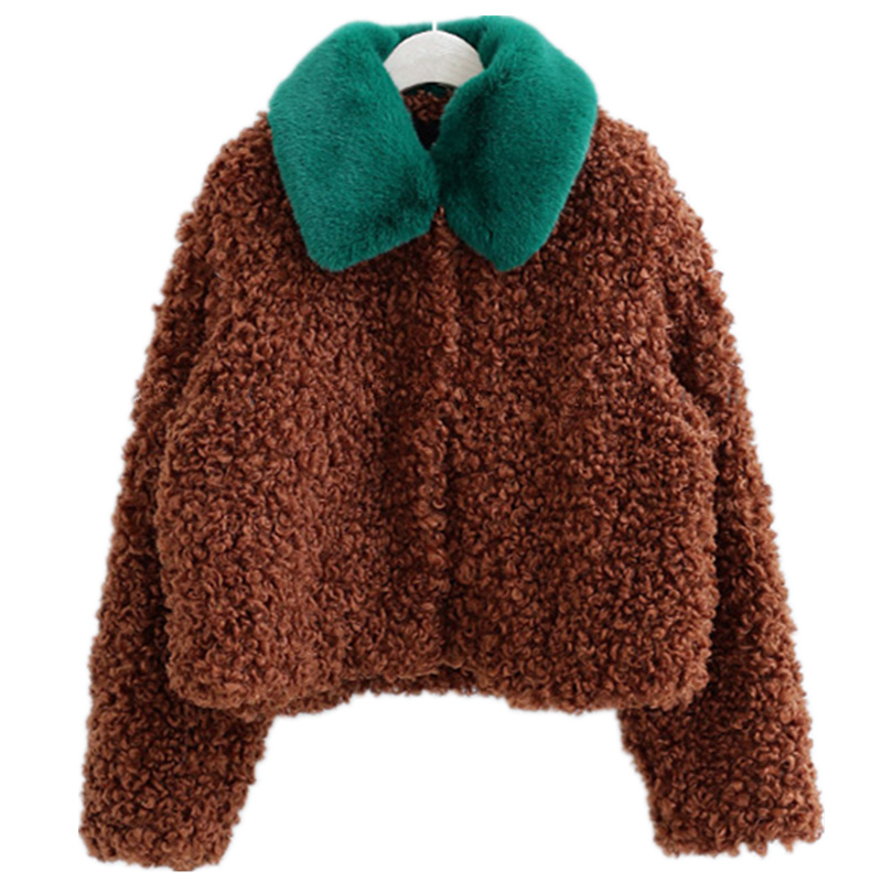 Картинка Шуба барашек укороченная яркий цветной ворот  от магазина LonnaMag