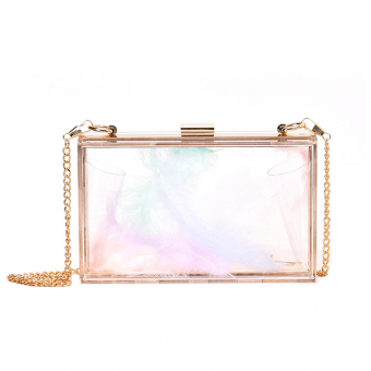 Сумка прозрачная на цепочке