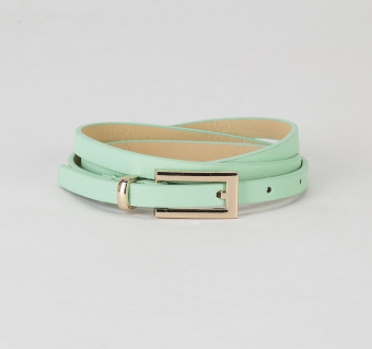 Ремень пряжка и хомут золото, ширина - 0,8 см