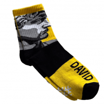Носки женские DAVID  