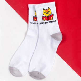 Носки Кот с книгой 