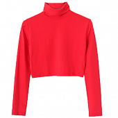 Картинка Топ водолазка высокий ворот цветная от магазина LonnaMag