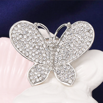 Брошь в стразах - бабочка
