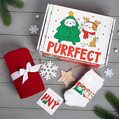 картинка Набор подарочный "Purrfect" плед и акс от магазина LonnaMag